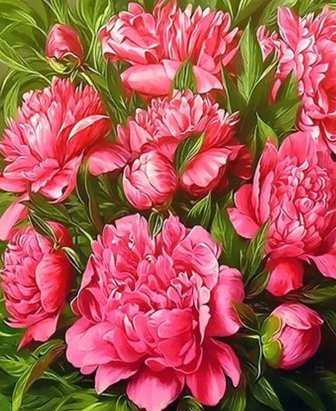 Bloeiende Roze Bloemen Schilderen op Nummers