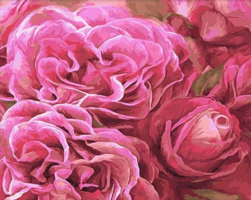 Bloeiende Roze Rozen Schilderen op Nummers