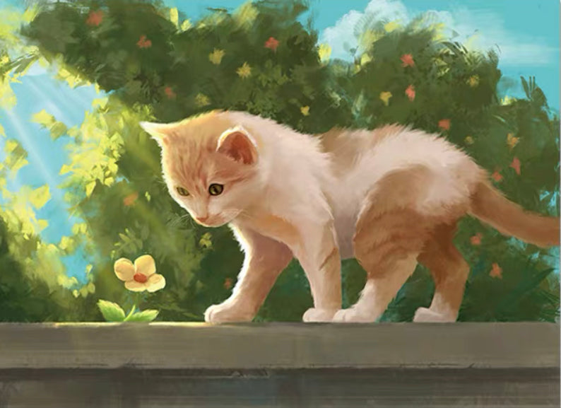 Bloem en Kitten Schilderen op Nummers