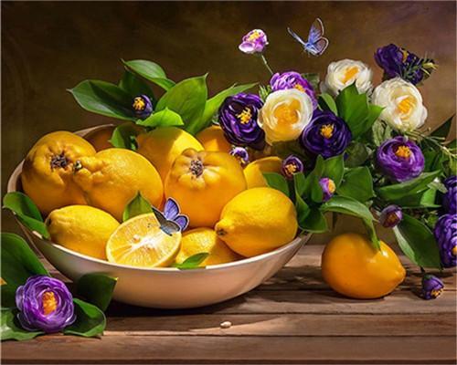 Bloemen en Citroenen Schilderen op Nummers