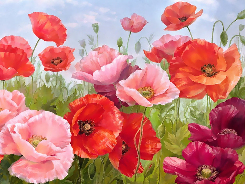 Bloemen in de wei Schilderen op Nummers