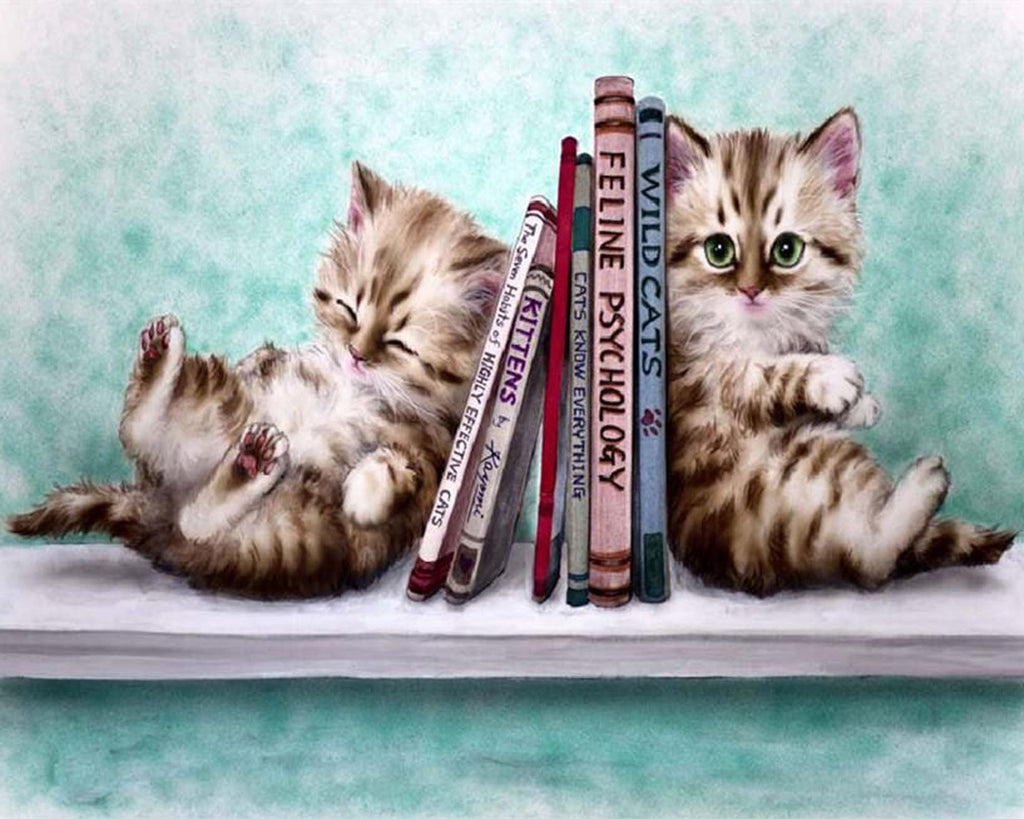 Boeken en Twee Katten Schilderen op Nummers