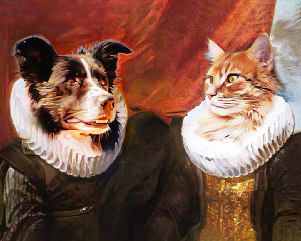 Border Collie en Kat Schilderen op Nummers