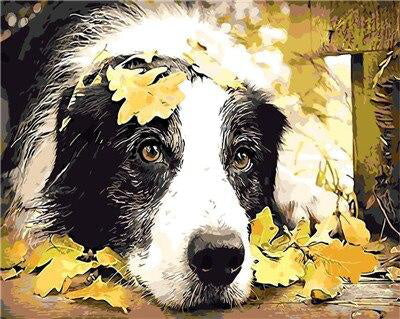 Border Collie en Vallende Bladeren Schilderen op Nummers