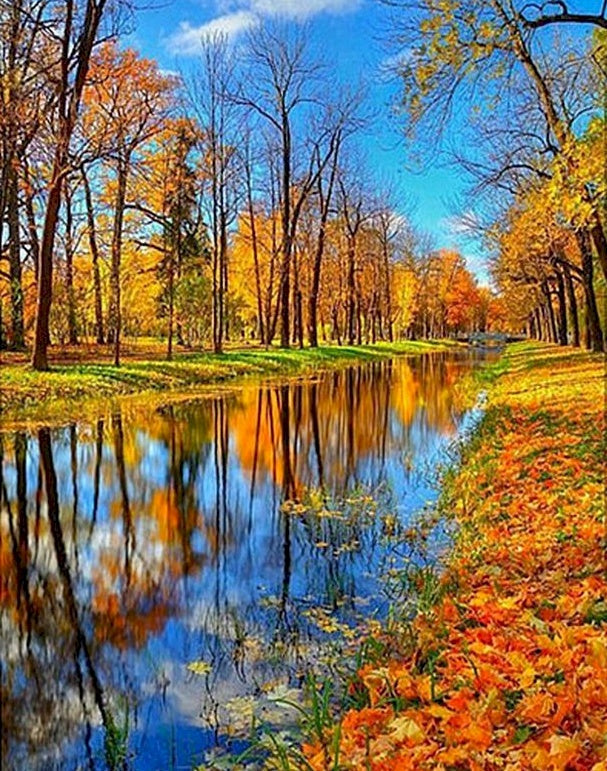 Bos en Meer in de Herfst Schilderen op Nummers