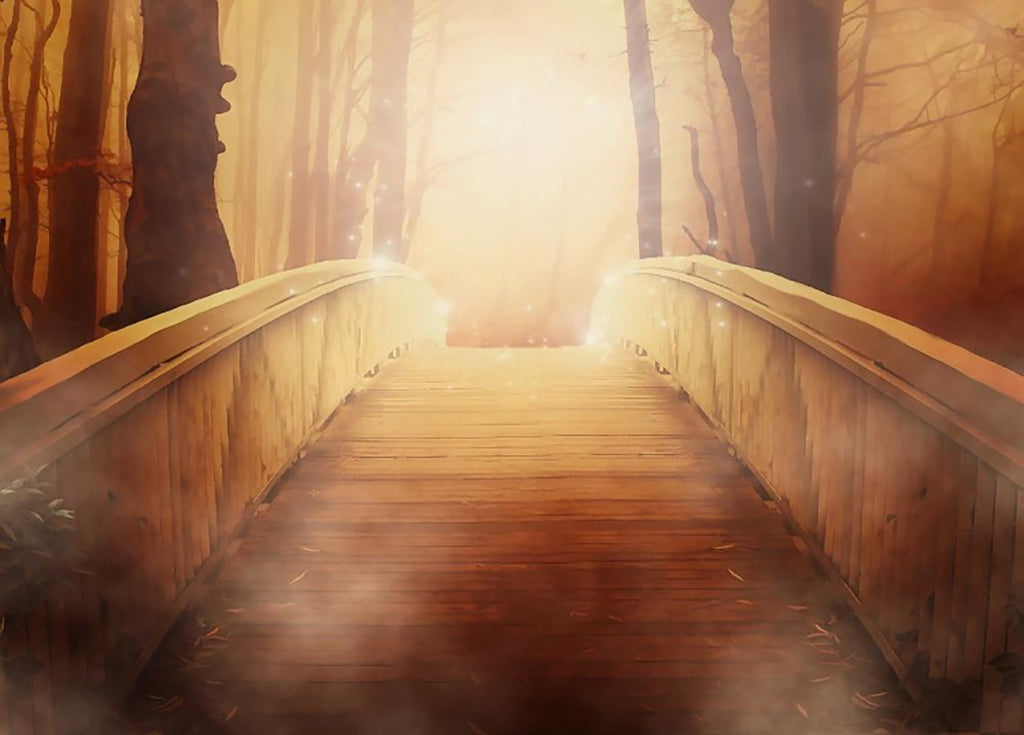 Brug in het Bos Schilderen op Nummers