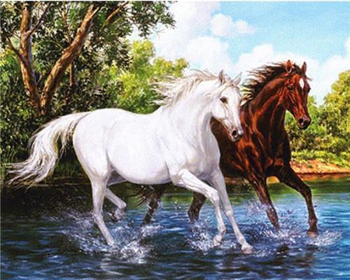 Bruin Paard en Wit Paard in het Water Schilderen op Nummers