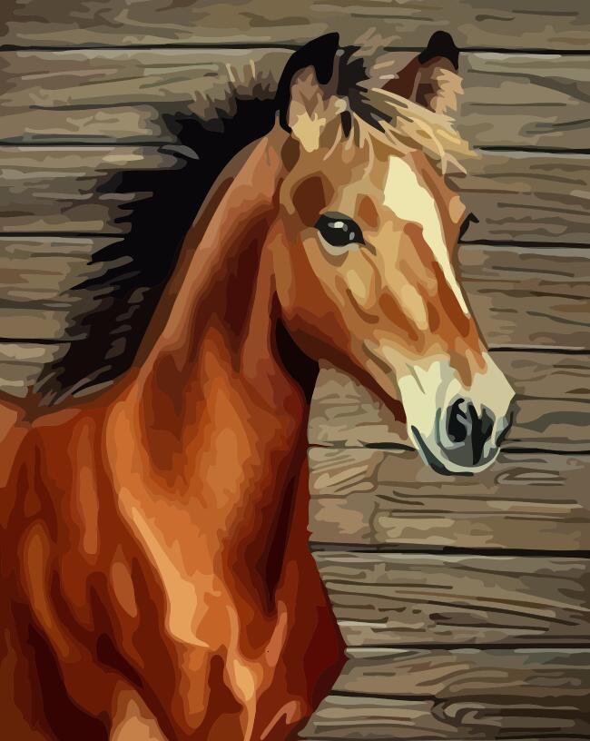 Bruin Paard Schilderen op Nummers