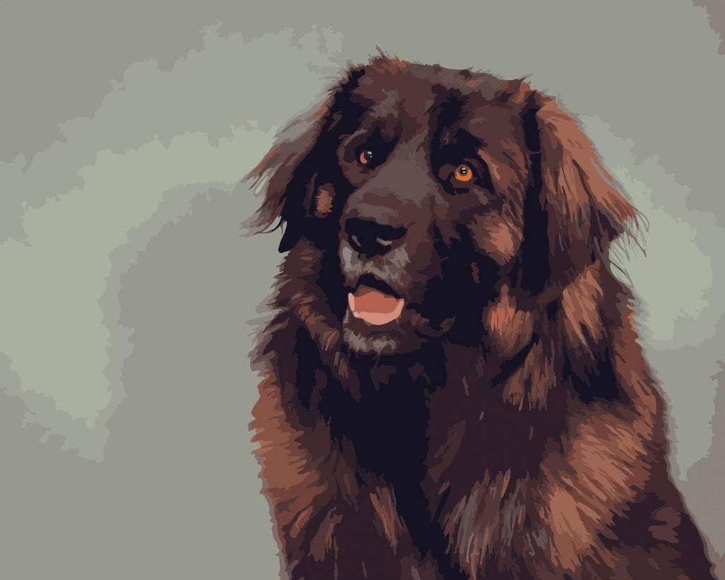 Bruine Hond Schilderen op Nummers