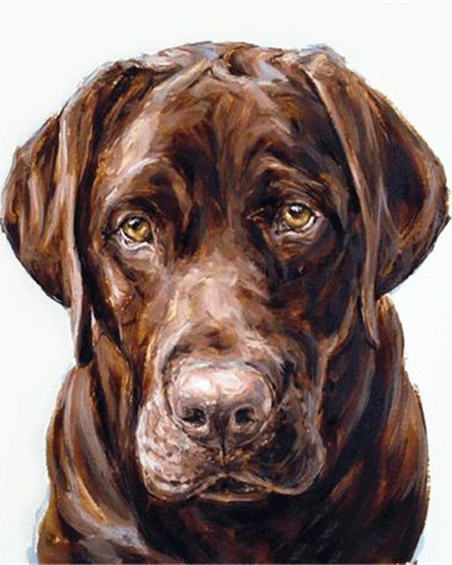 Bruine Labrador Schilderen op Nummers