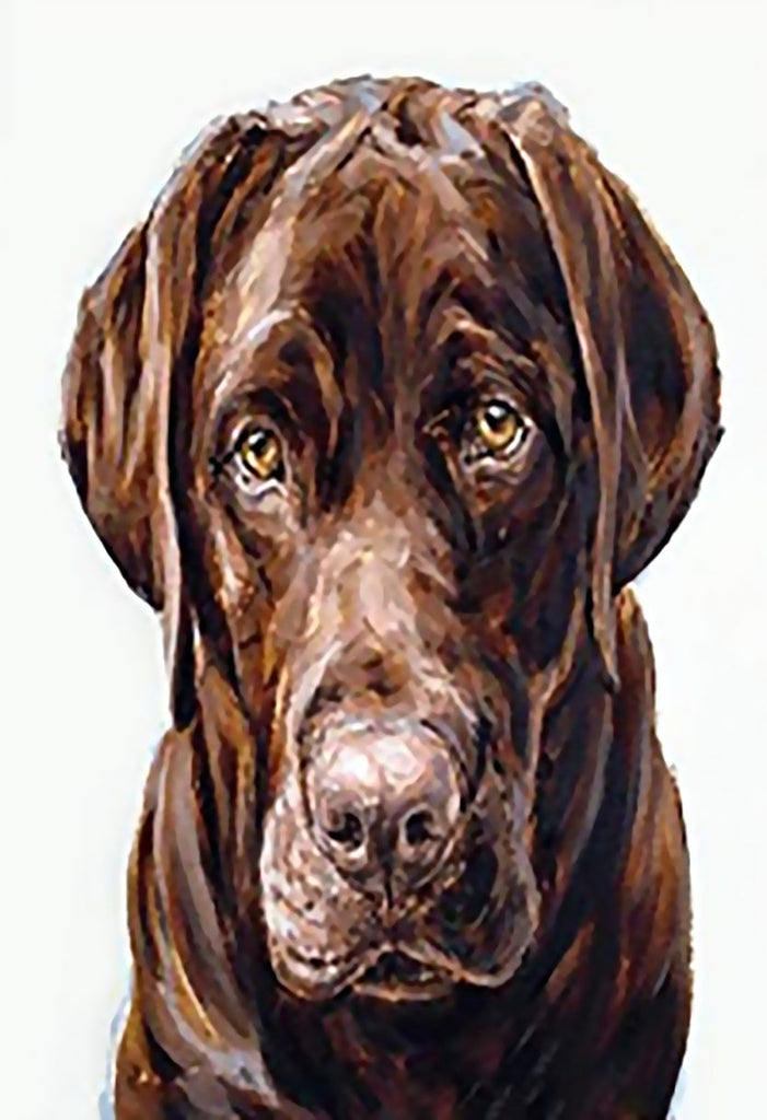 Bruine Labrador Schilderen op Nummers