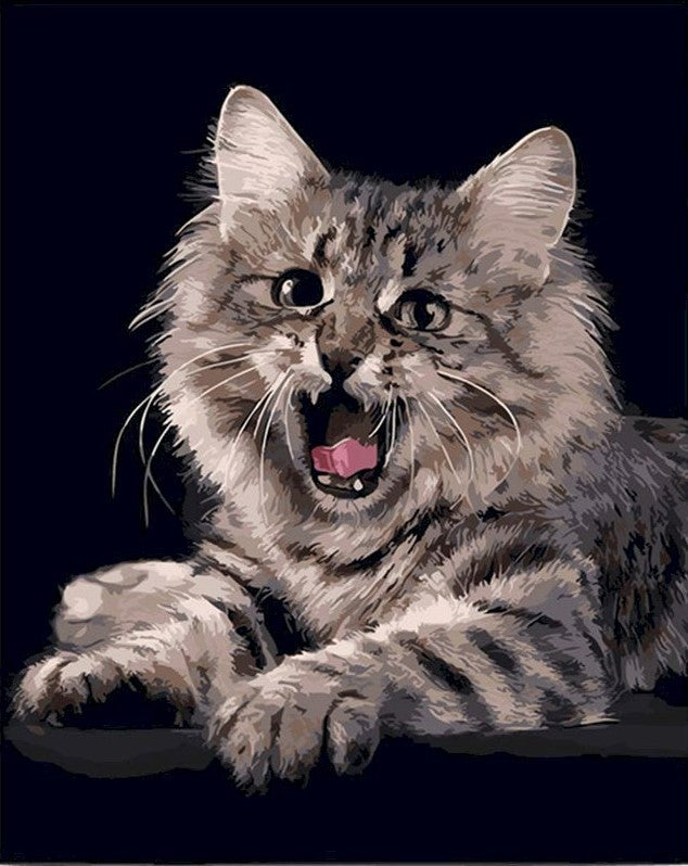 Brullende Kitten Schilderen op Nummers