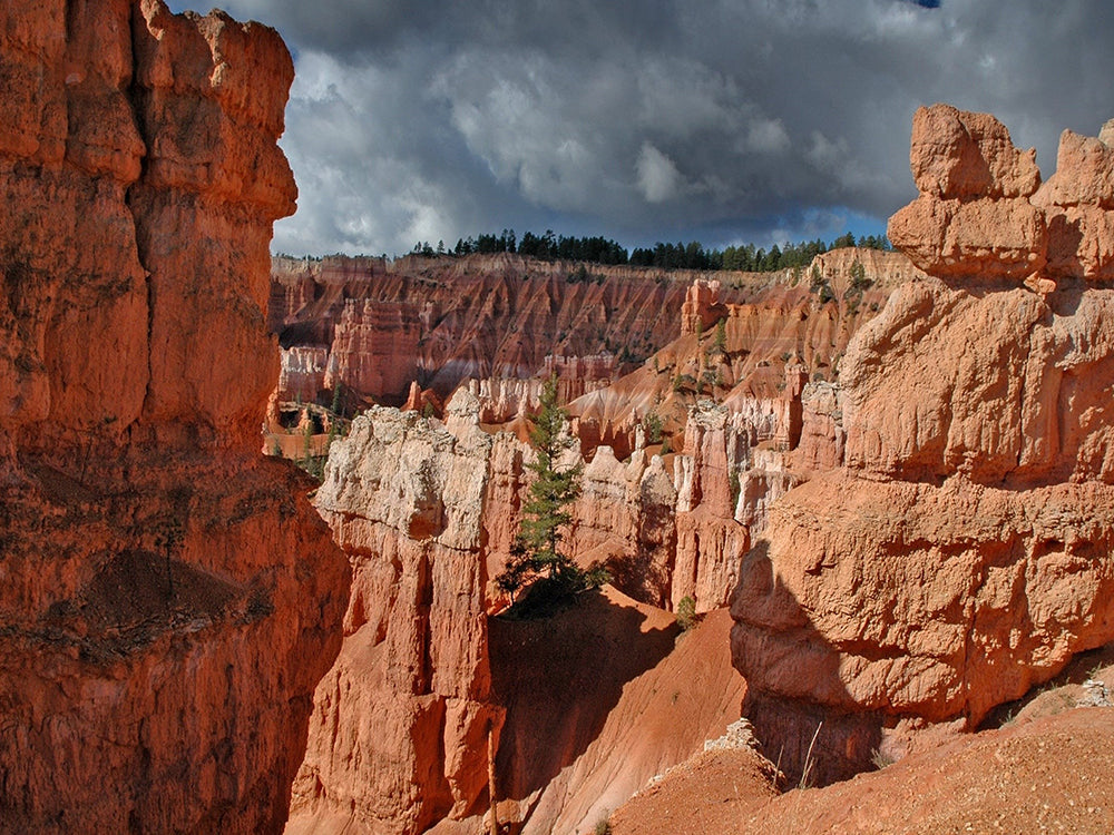 Bryce Canyon Utah Schilderen op Nummers