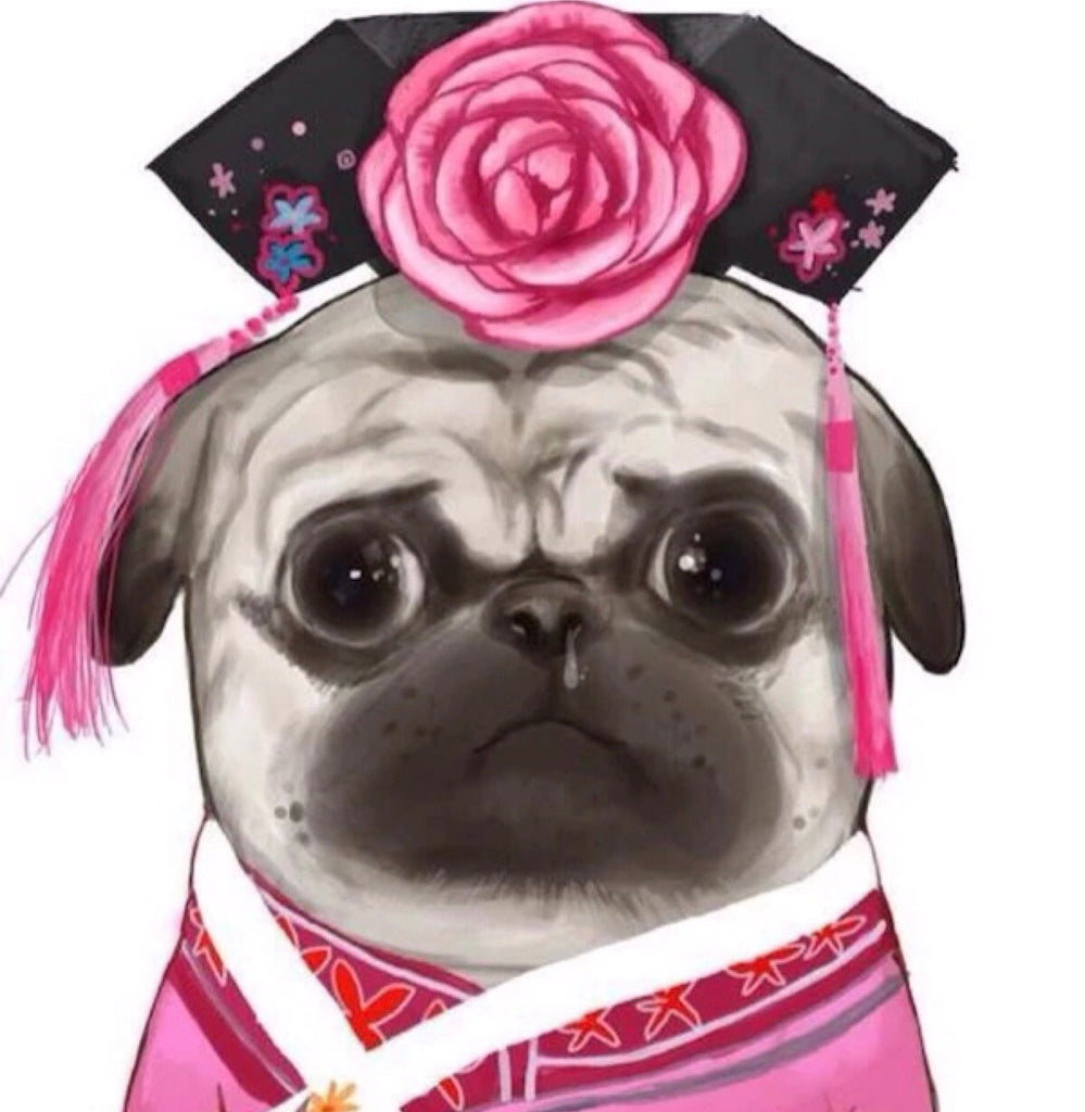 Bulldog met Grote Roze Bloem Schilderen op Nummers