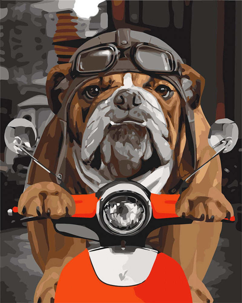 Bulldog op Elektrische Fiets Schilderen op Nummers