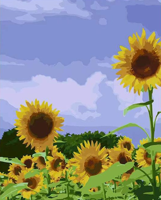 Cartoon Aquarel Zonnebloemen in Blauwe Lucht Schilderen op Nummers