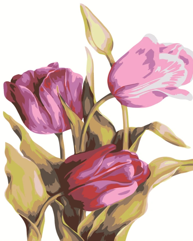 Cartoon Drie Tulpen Schilderen op Nummers