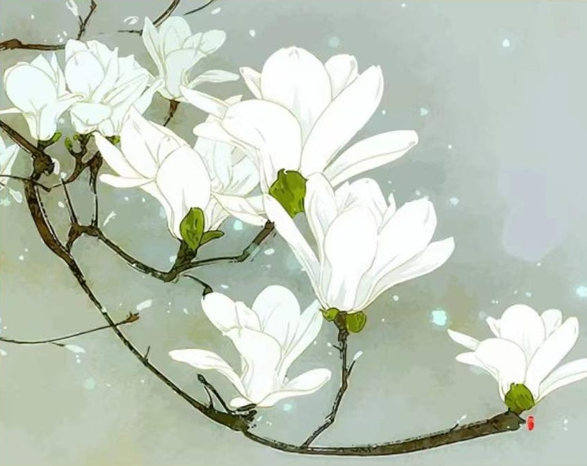Cartoon Een tak magnolia's Schilderen op Nummers