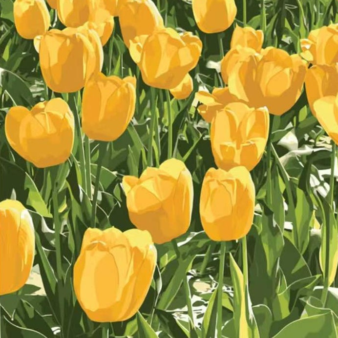 Cartoon Gele Tulpen Schilderen op Nummers