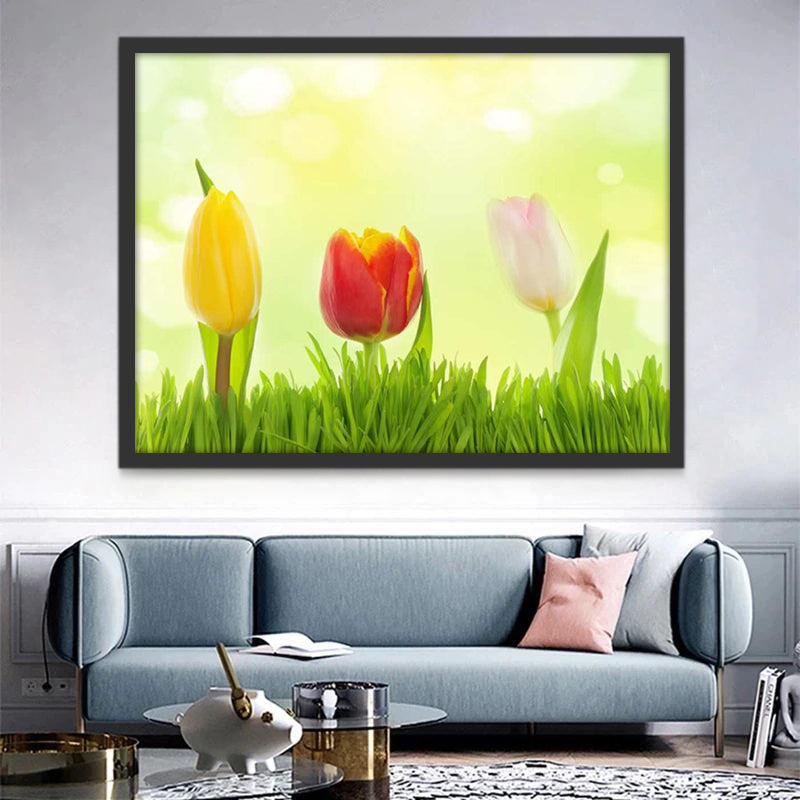 Cartoon Kleurrijke Tulpen Schilderen op Nummers
