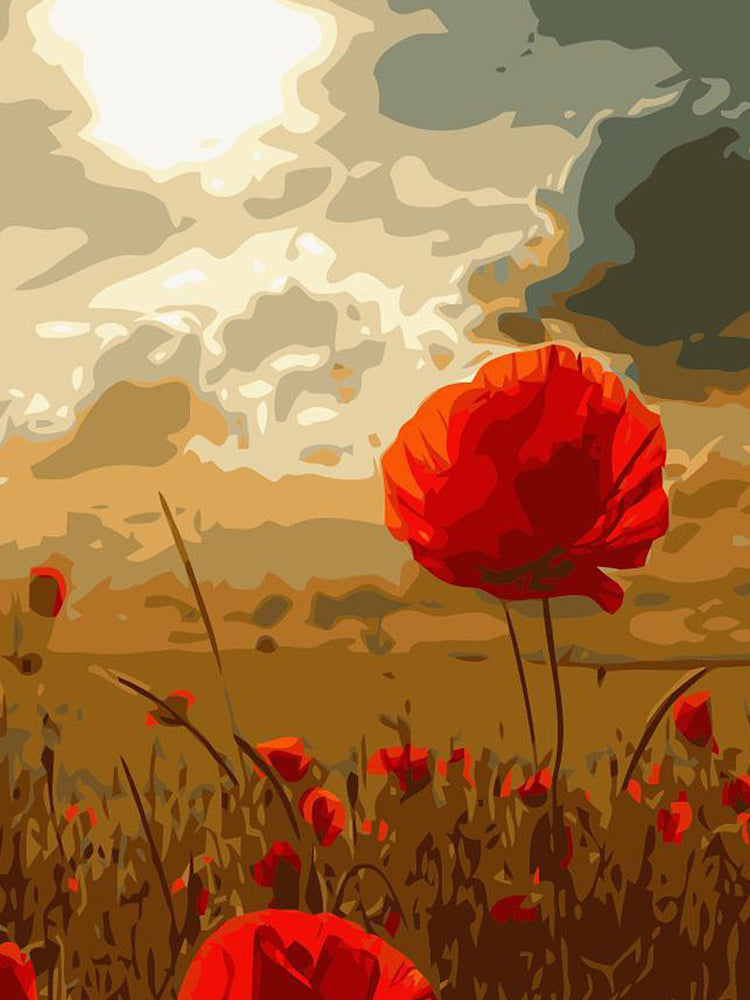 Cartoon Rode Bloemen Schilderen op Nummers