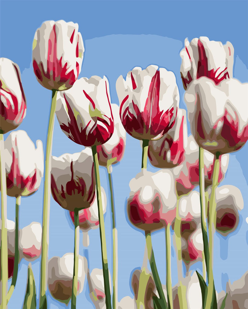 Cartoon Rode en Witte Tulpen Schilderen op Nummers