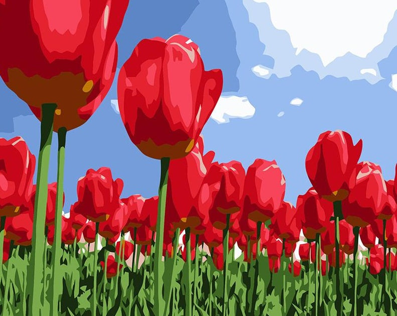 Cartoon Rode Tulpen onder een Blauwe Lucht Schilderen op Nummers