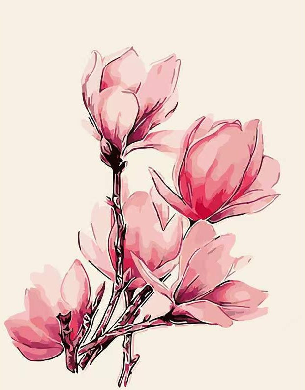 Cartoon Roze Magnolia Bloesem Schilderen op Nummers