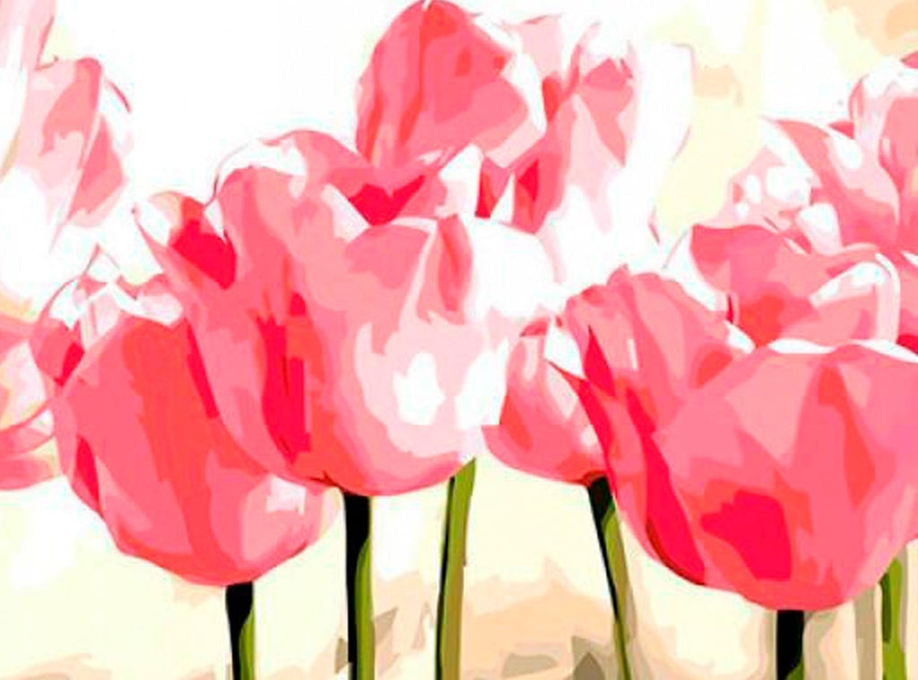 Cartoon roze Tulpen Schilderen op Nummers