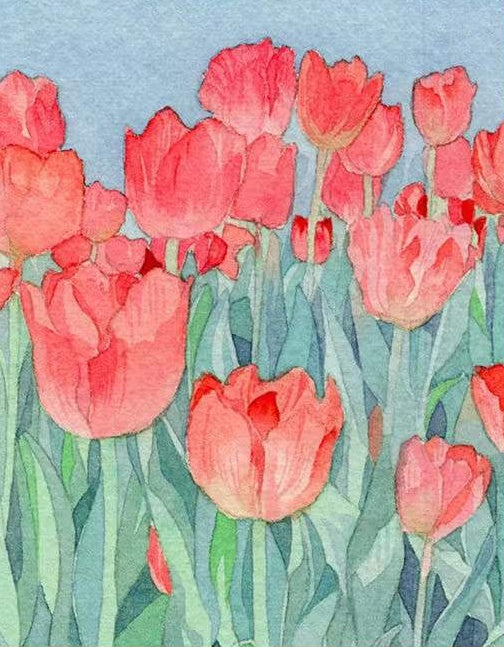 Cartoon Roze Tulpenveld Schilderen op Nummers