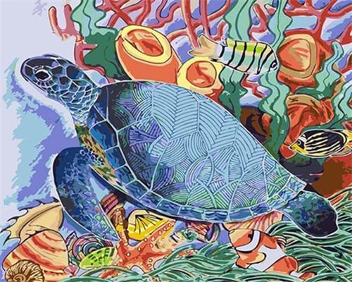 Cartoon Schildpad Schilderen op Nummers