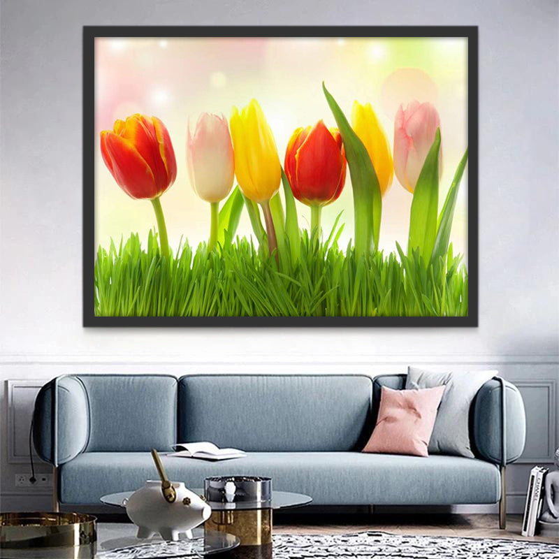 Cartoon Tulpenveld Schilderen op Nummers