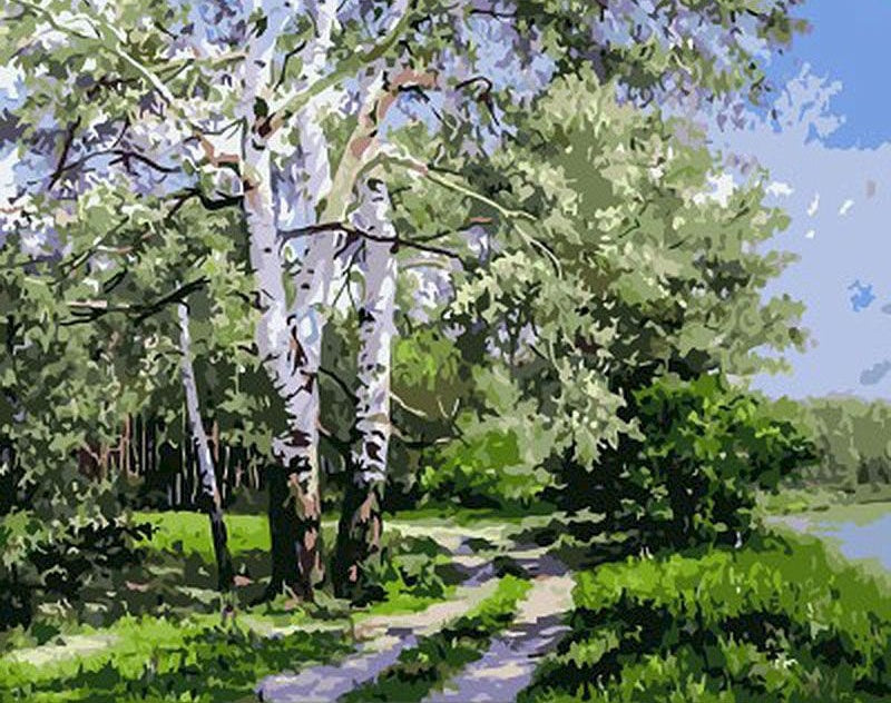 Cartoon Weelderige Bomen en Gazons Schilderen op Nummers