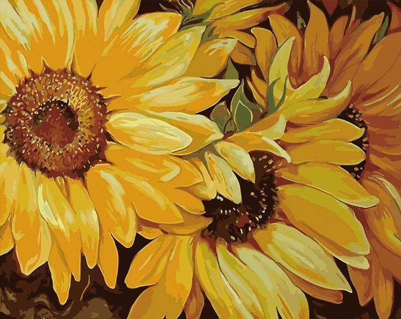 Cartoon Weelderige Zonnebloemen Schilderen op Nummers