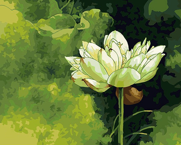 Cartoon witte lotus Schilderen op Nummers