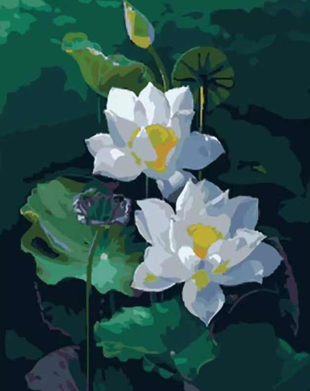 Cartoon Witte Lotusbloemen Schilderen op Nummers