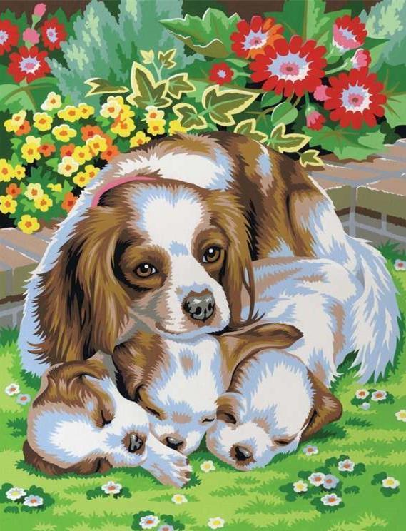 Cavalier Spaniels in de Wei Schilderen op Nummers