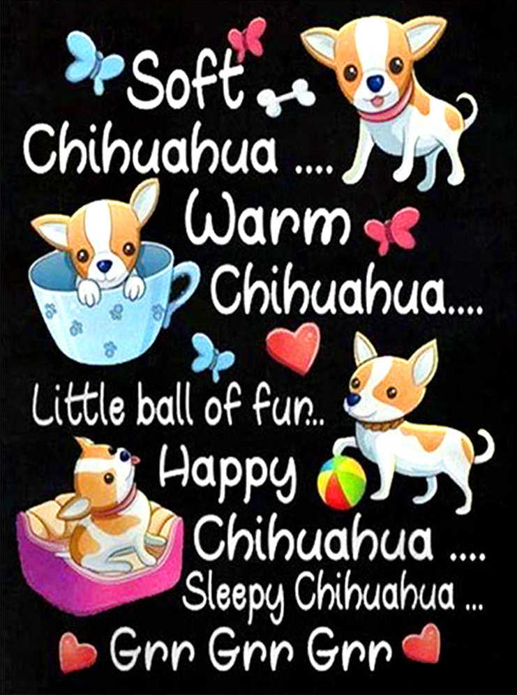 Chihuahua Hond Schilderen op Nummers