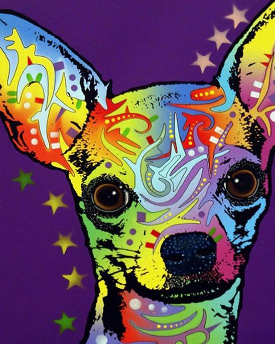 Chihuahua Pop Art Schilderen op Nummers