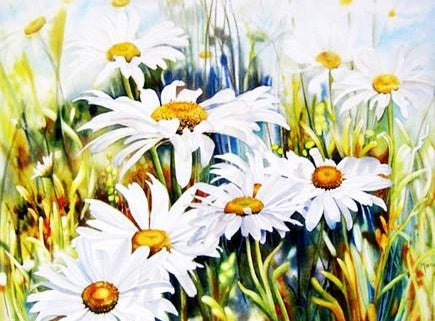 Chrysantenstruik Schilderen op Nummers