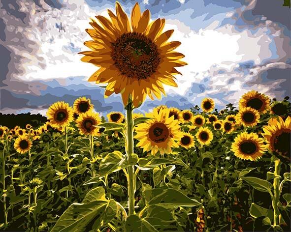 Close-up van een Zonnebloem in een Zonnebloemenstruik Schilderen op Nummers
