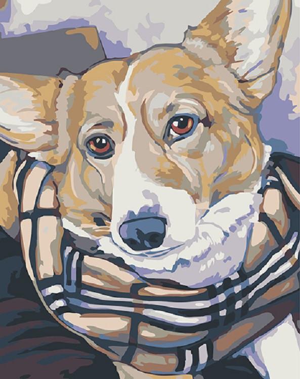 Corgi met Sjaal Schilderen op Nummers