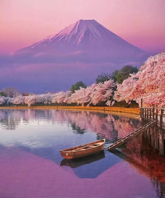 De Berg Fuji en Kersenbloesems Schilderen op Nummers