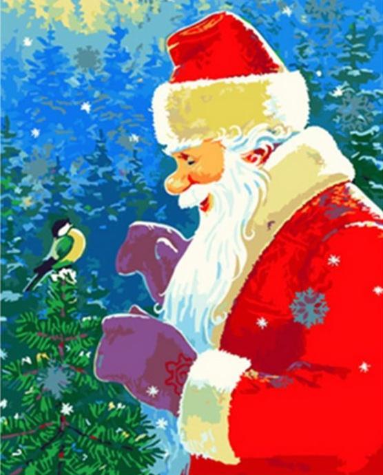 De Kerstman met een Groen Vogeltje Schilderen op Nummers