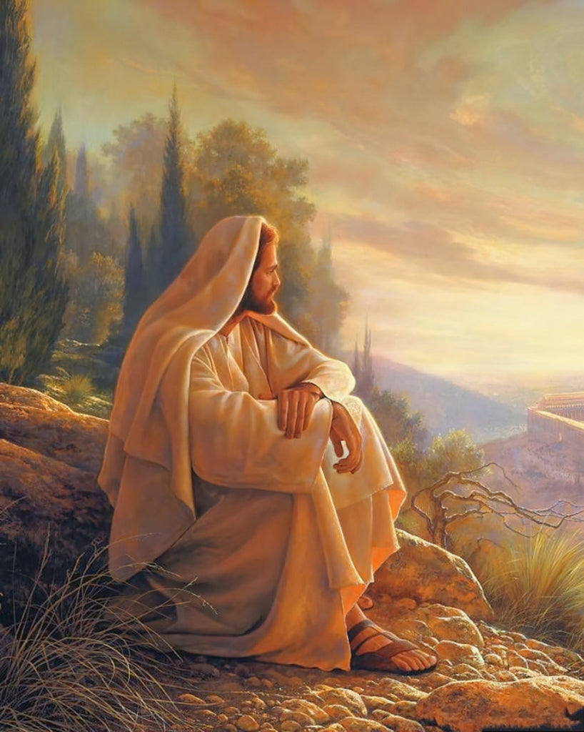 De Man in Zittende Meditatie Christendom Schilderen op Nummers