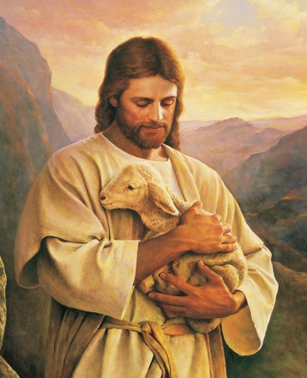 De Man met de Schapen Christendom Schilderen op Nummers