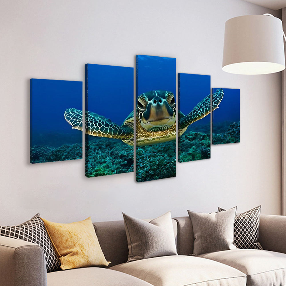 De Paraderende Zeeschildpad 5 Platen Schilderen op Nummers
