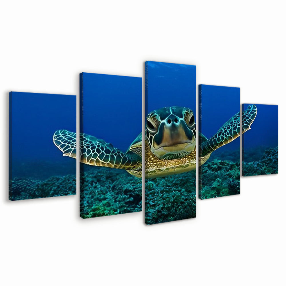 De Paraderende Zeeschildpad 5 Platen Schilderen op Nummers