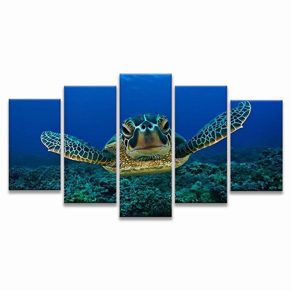 De Paraderende Zeeschildpad 5 Platen Schilderen op Nummers