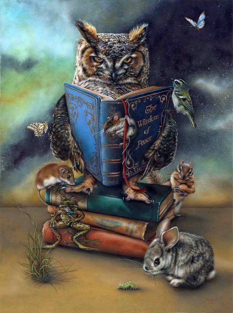 De Uil Die Boeken Leest Schilderen op Nummers